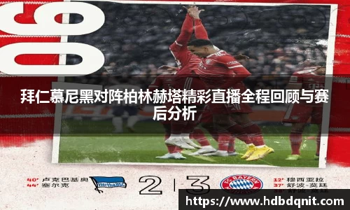 B体育bsports