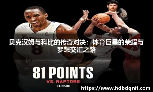 bsports官网入口