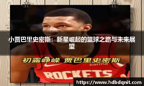 B体育bsports