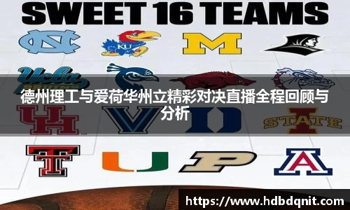 bsports官网入口