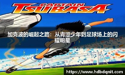 B体育bsports
