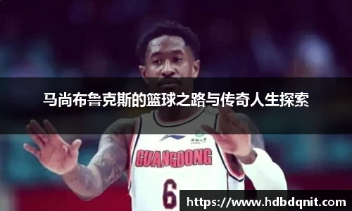 B体育bsports