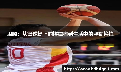 bsports官网入口